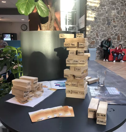 eco jenga